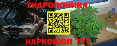 a pvp Свободный