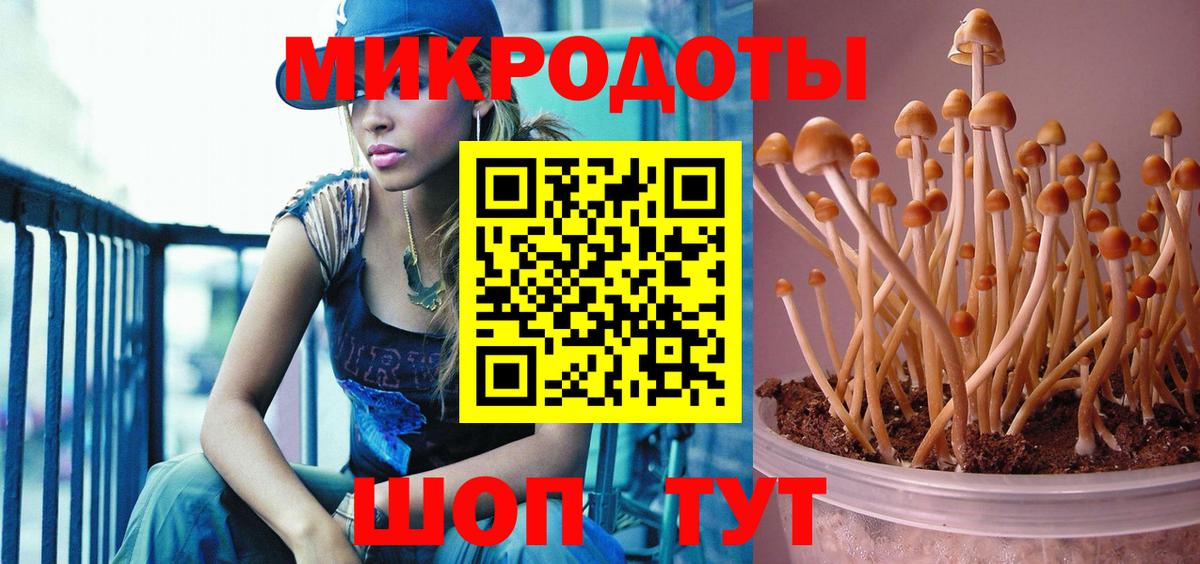 Ревда  Галлюциногенные грибы Magic Shrooms  Вход с VPN 